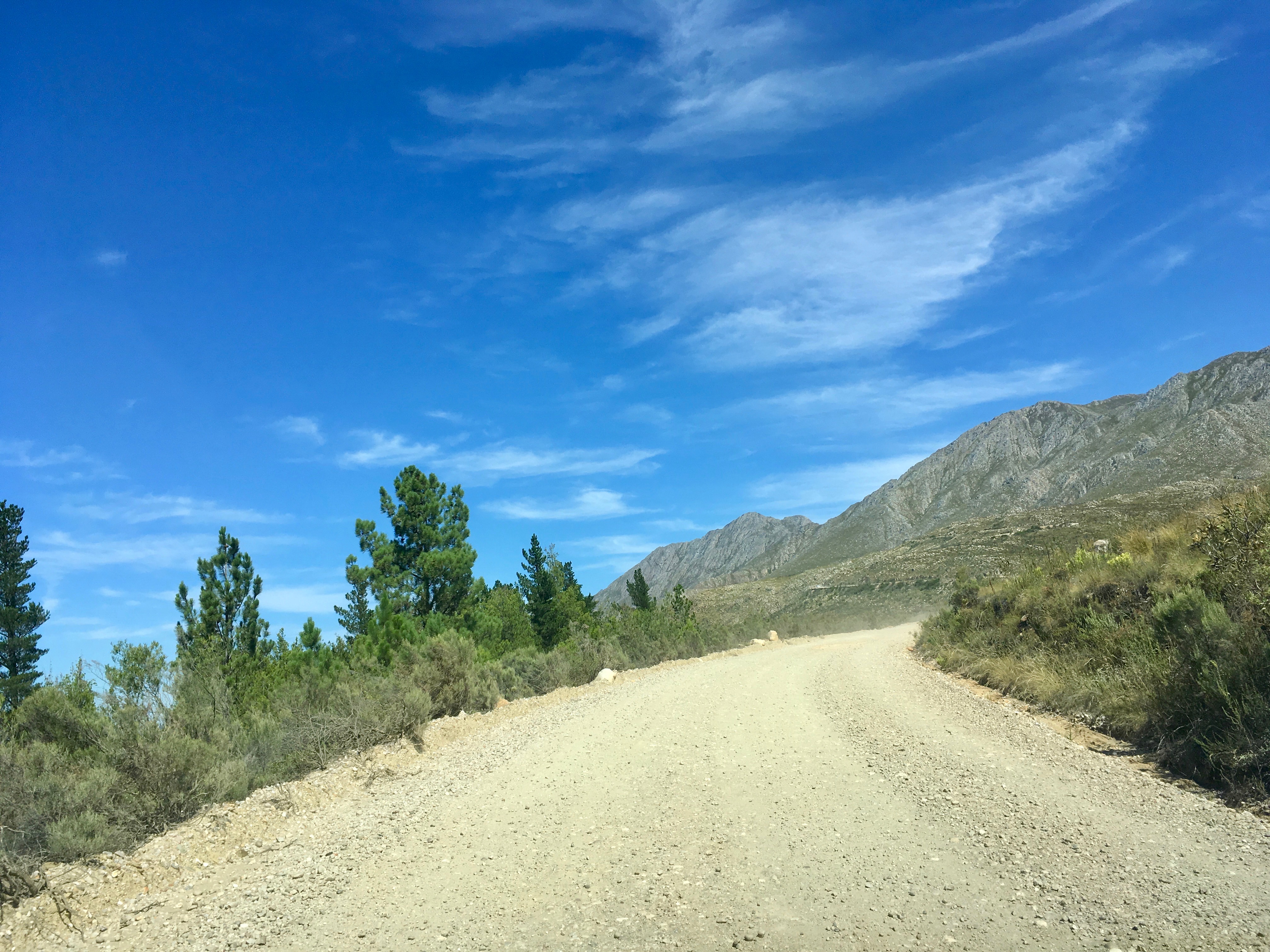 4. Teil. Südafrika- Roadtrip -  Route 62,  Südafrikas "Route 66" IMG_2665