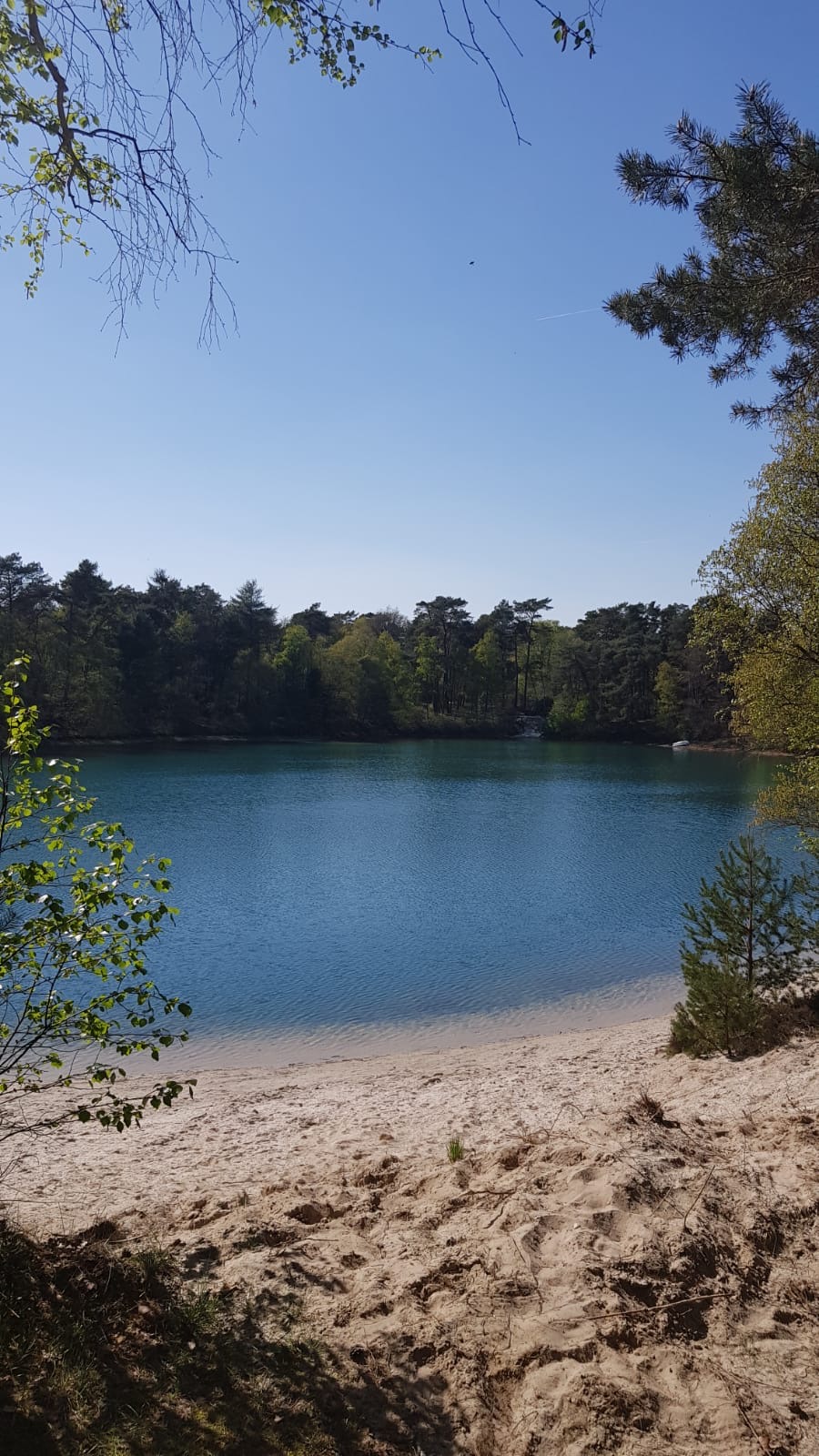 7a2a3f56-5bc7-4469-a8cc-fe4911f177bf